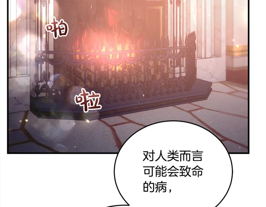 第250页