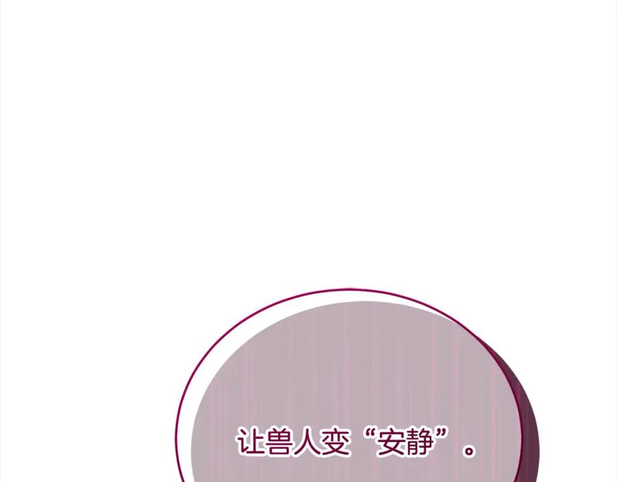 第260页