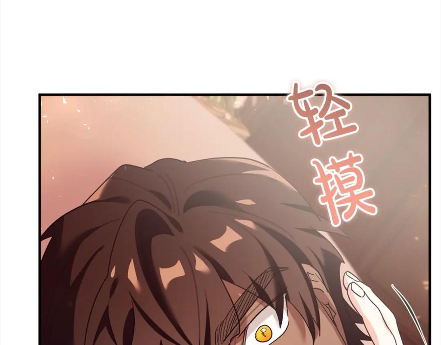 第244页