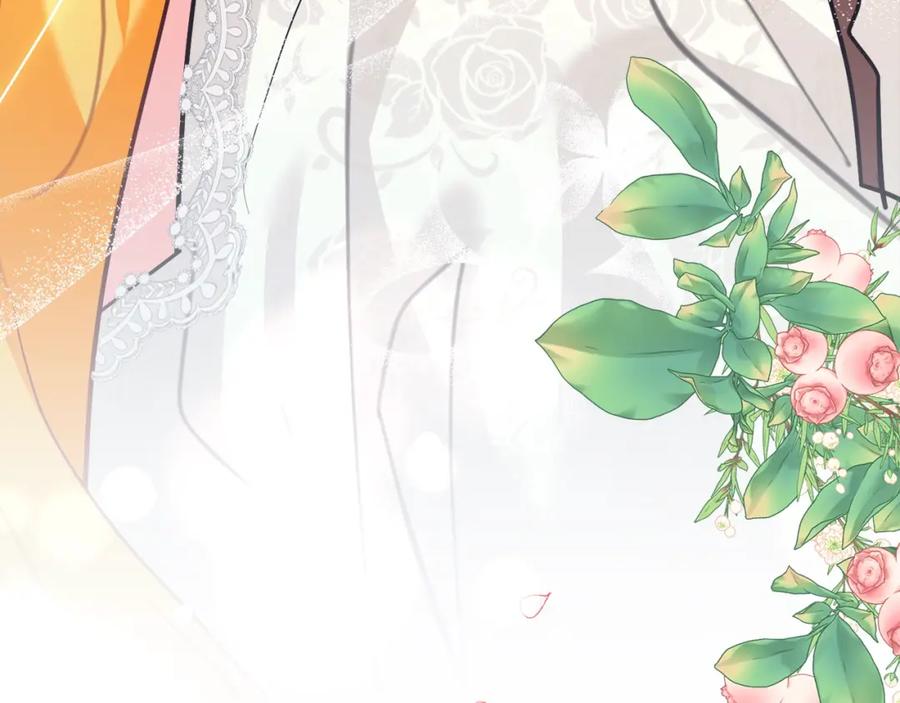 第254页