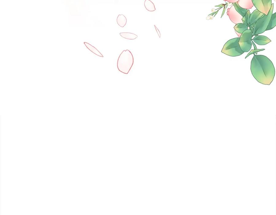 第255页