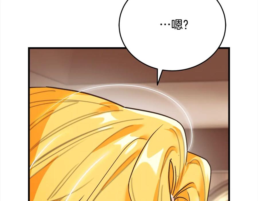 第242页