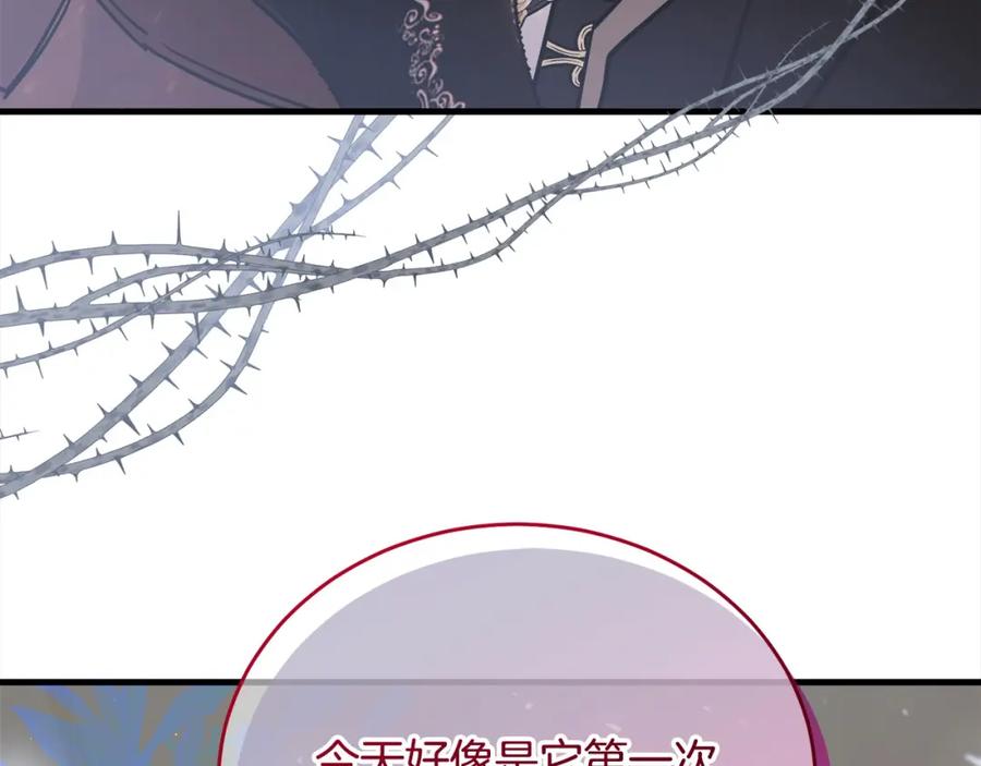 第215页