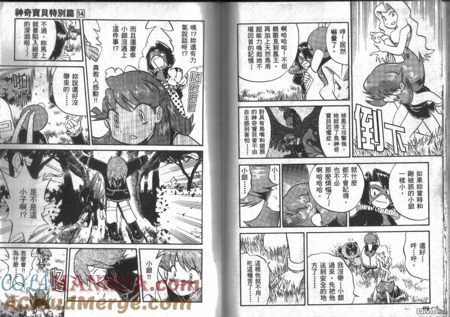 第49页