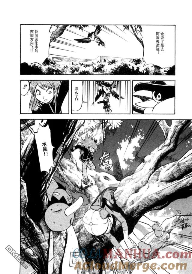 第109页