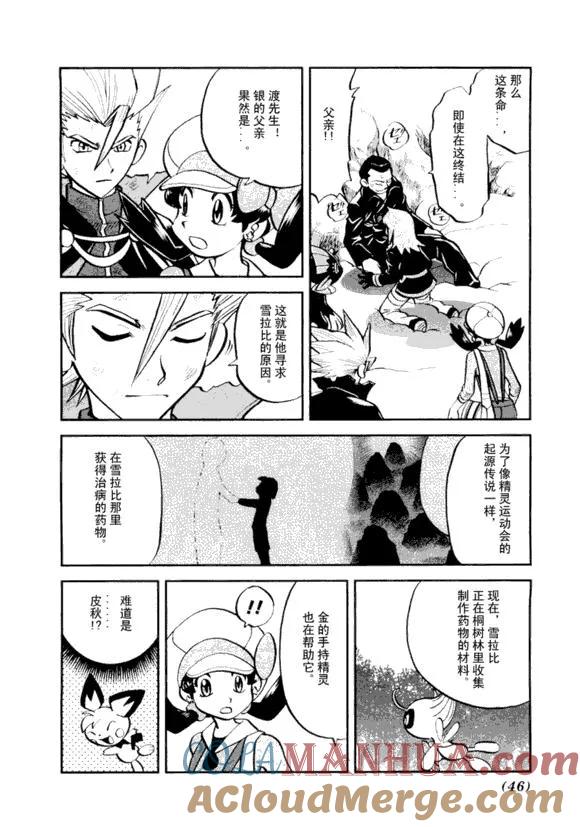 第45页