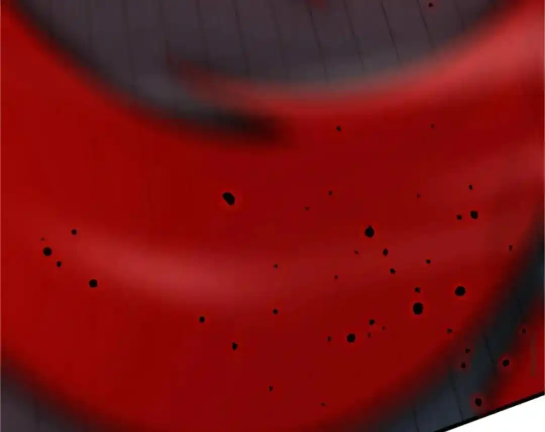 第224页