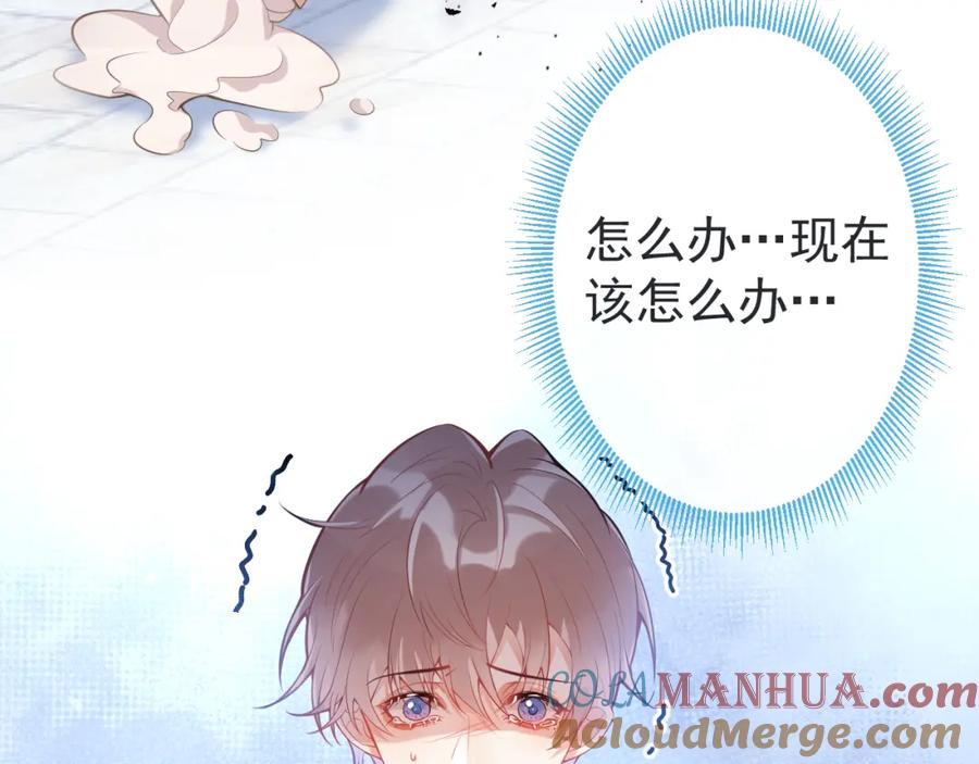 第117页