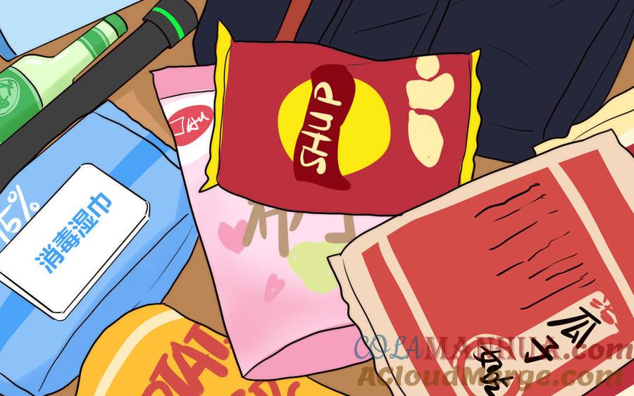 第43页