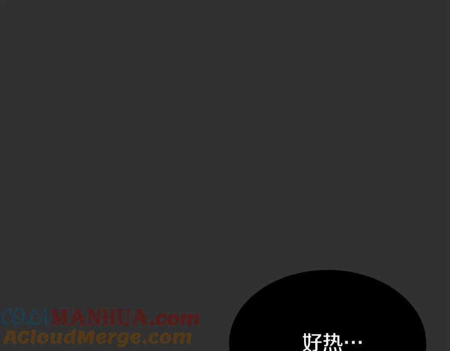 第205页