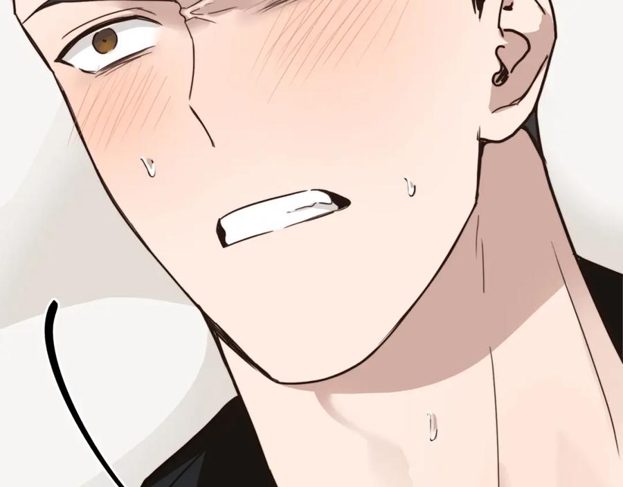第215页