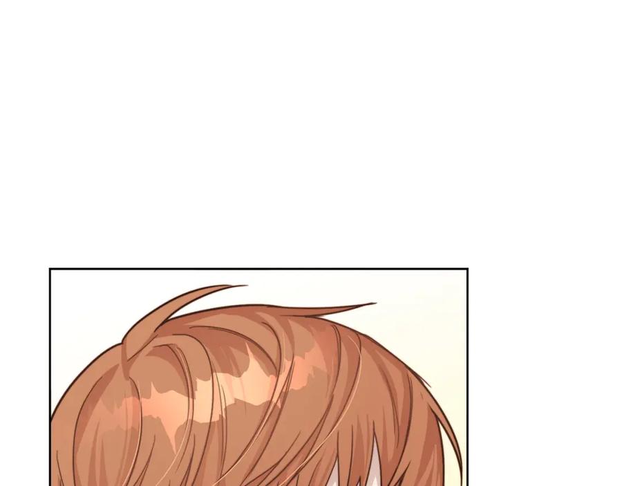 第215页