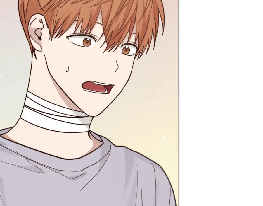 第203页