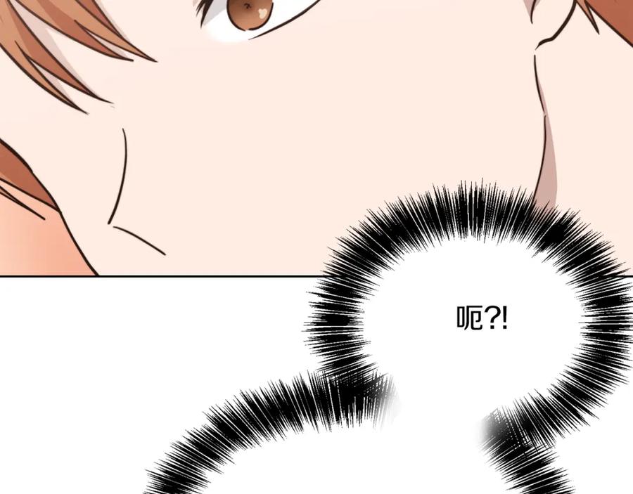 第224页