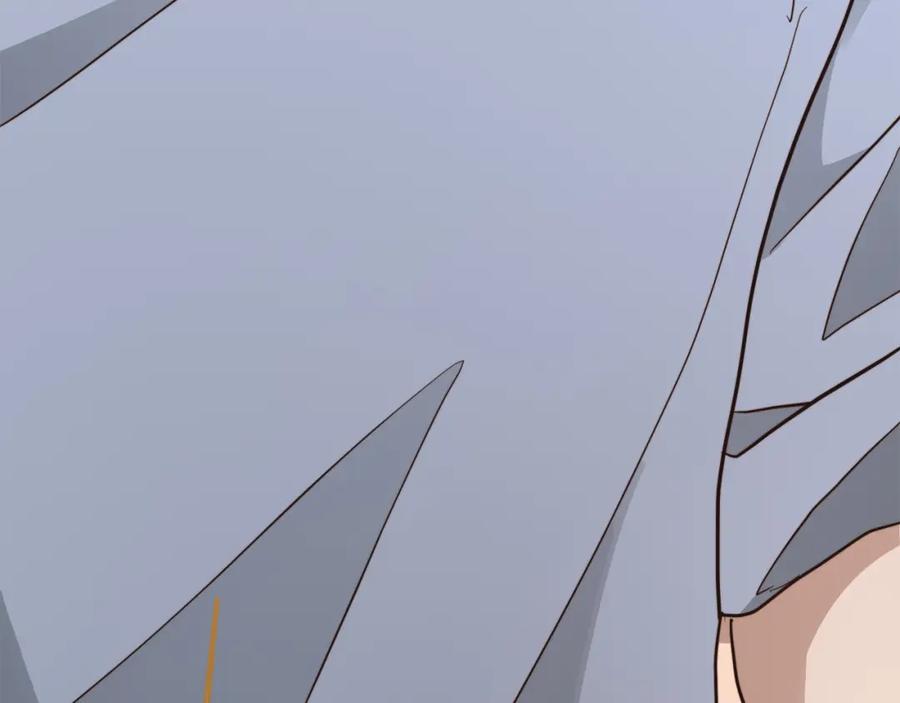 第236页
