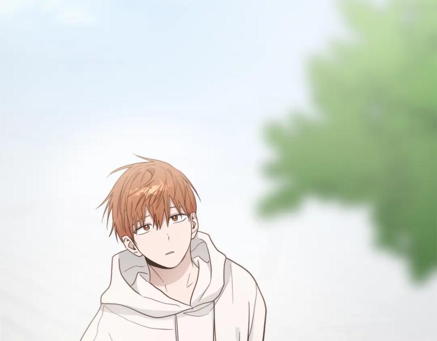 第219页