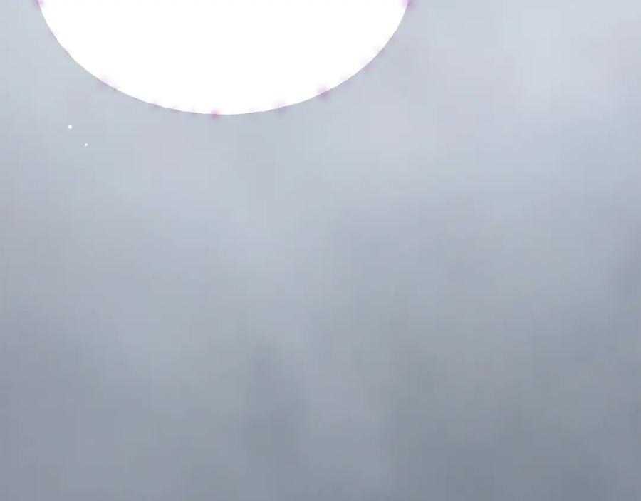 第223页