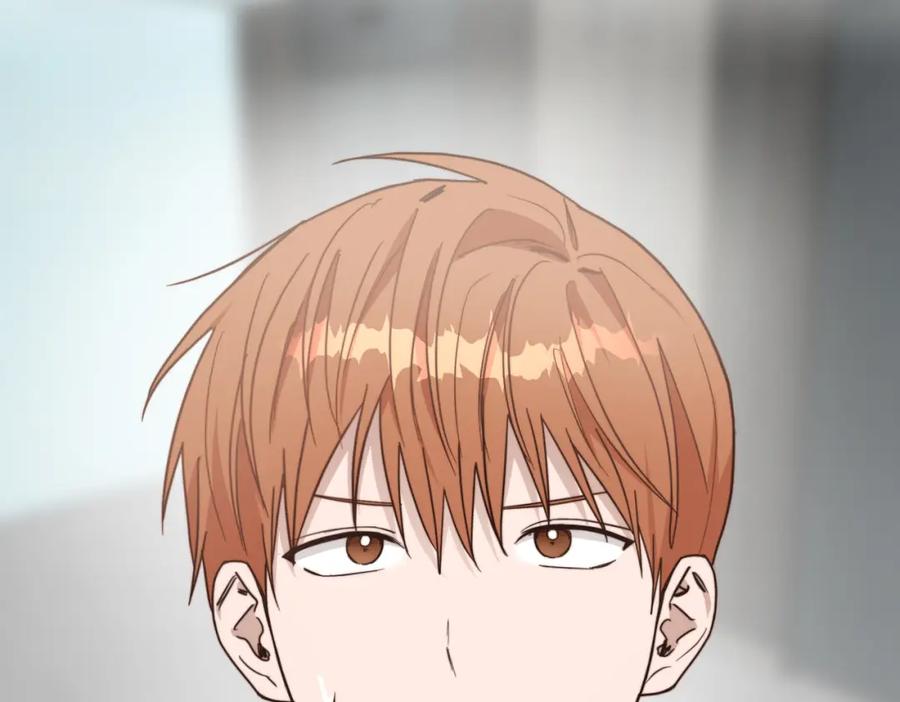 第238页