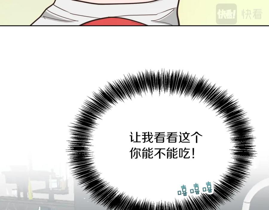 第244页