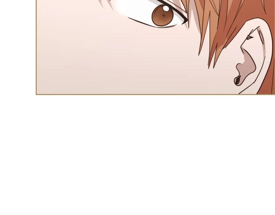 第247页