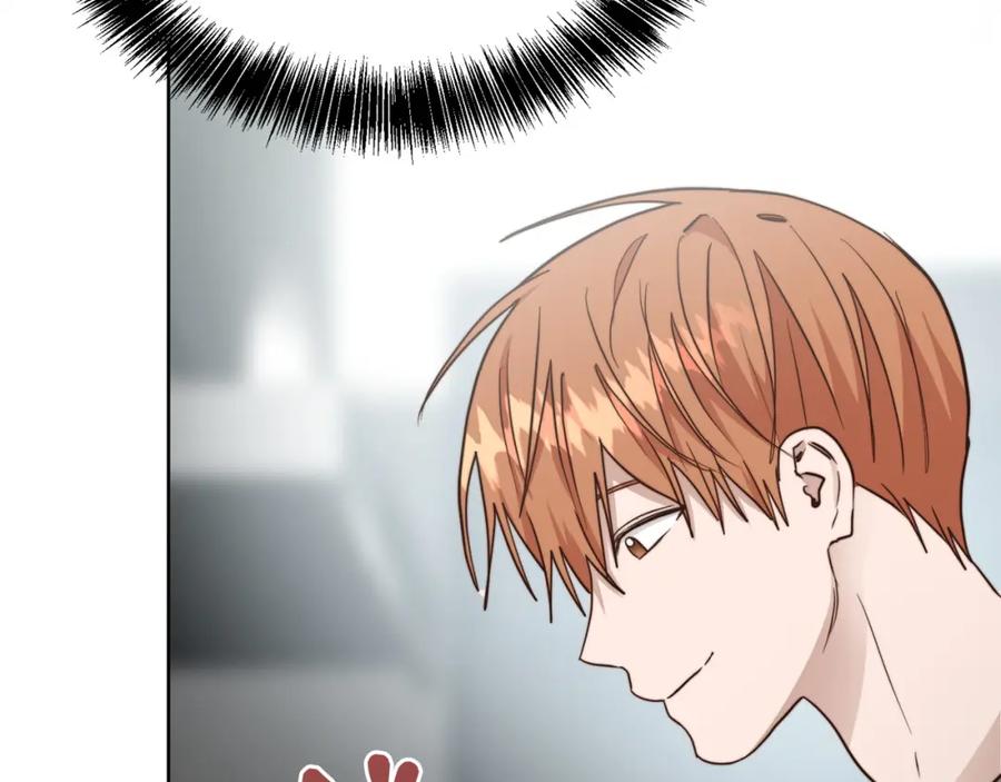 第231页