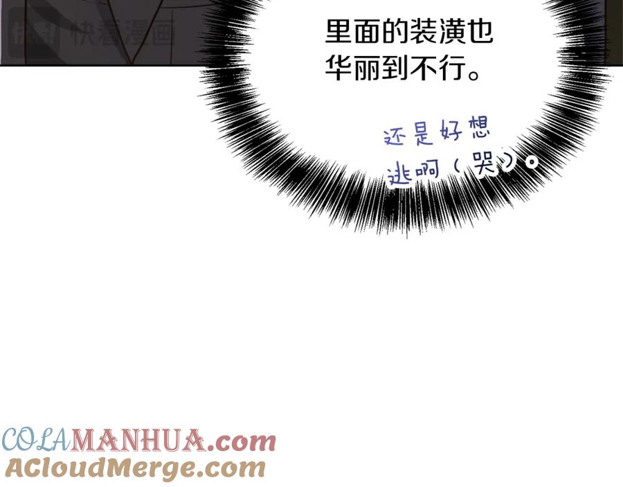 第221页