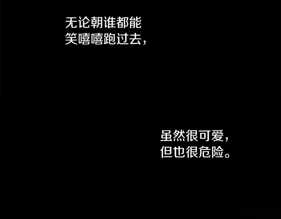 第259页
