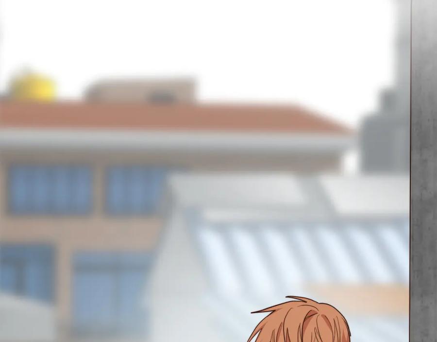 第262页