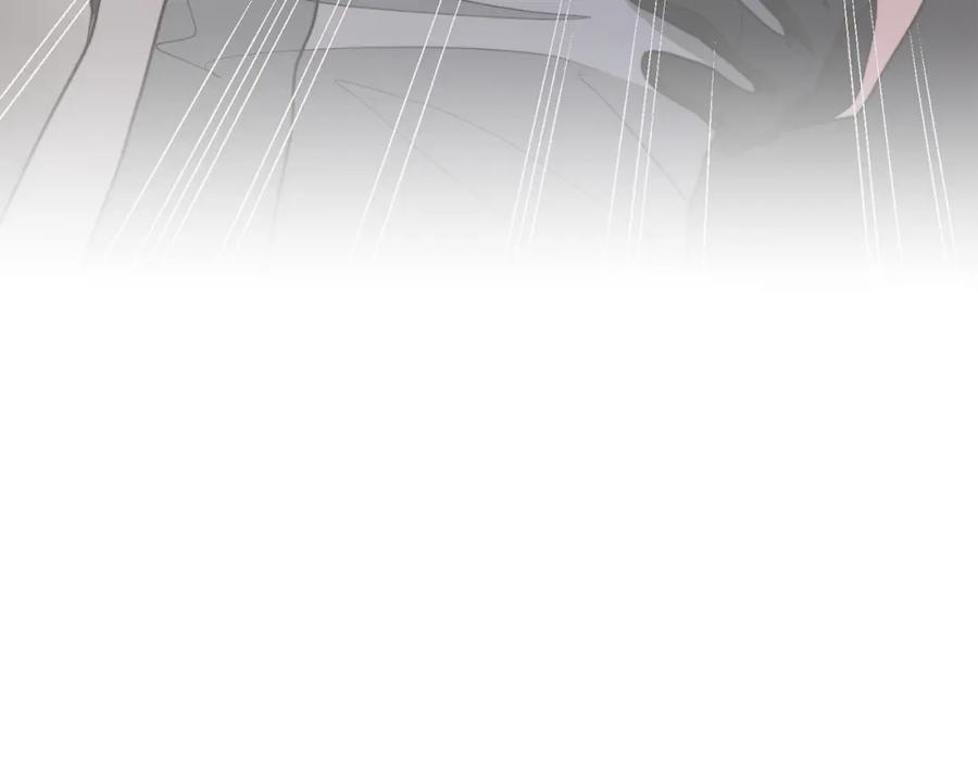 第242页