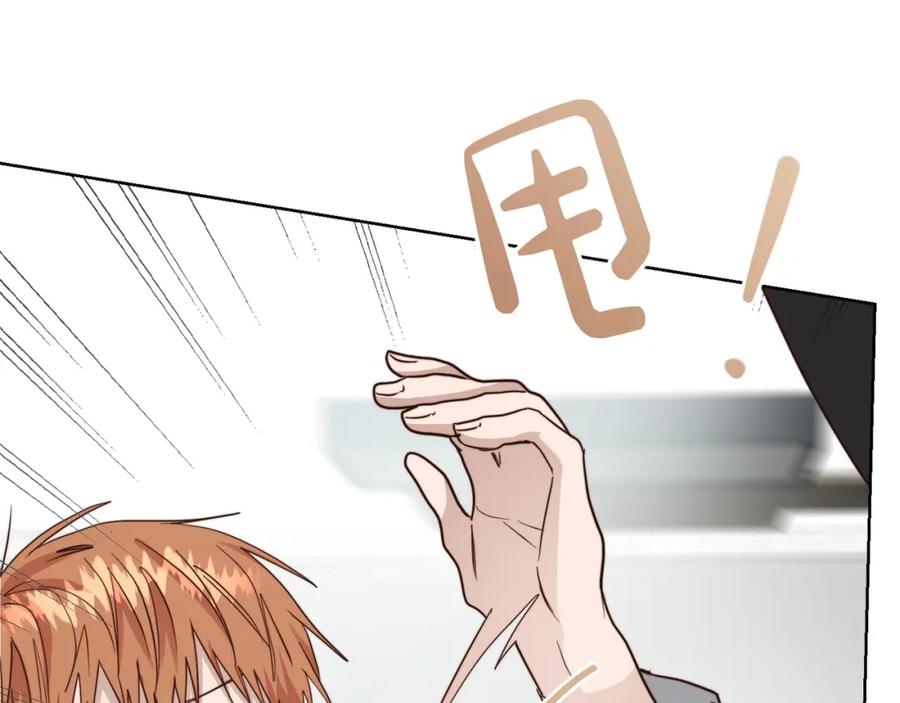 第251页