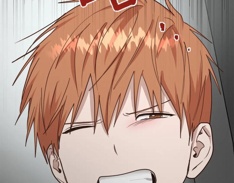 第258页