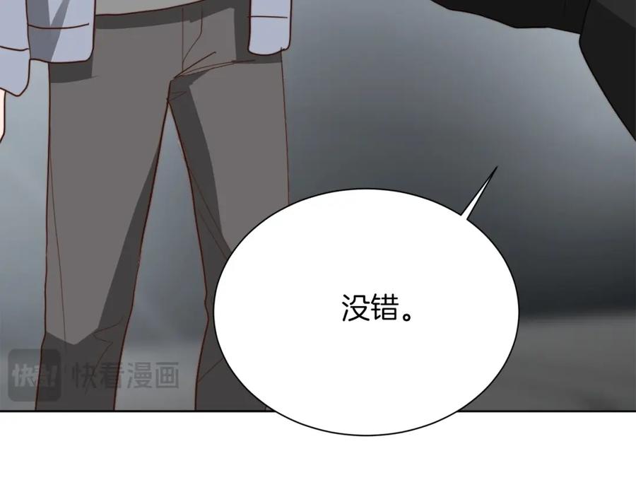 第223页