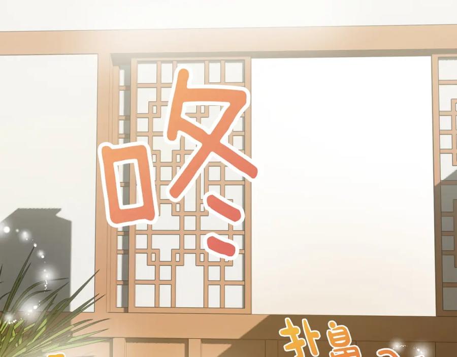 第215页