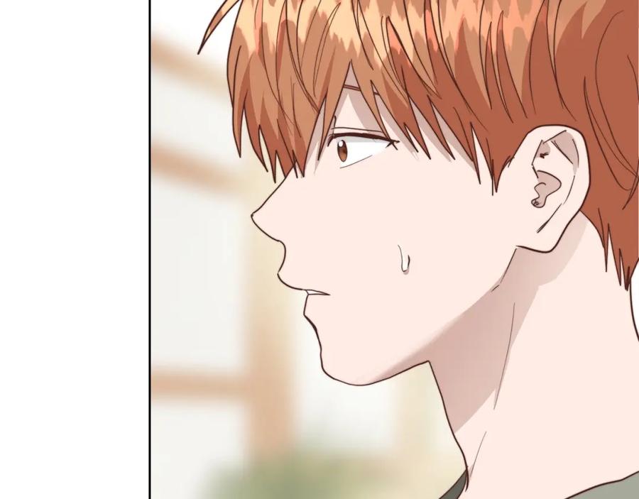 第228页