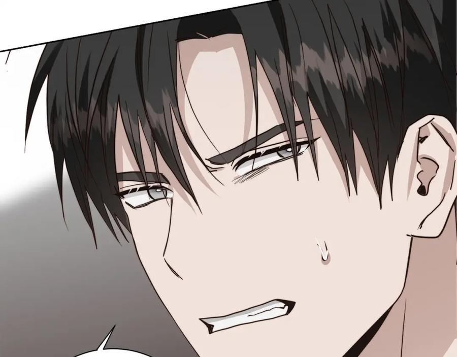 第240页