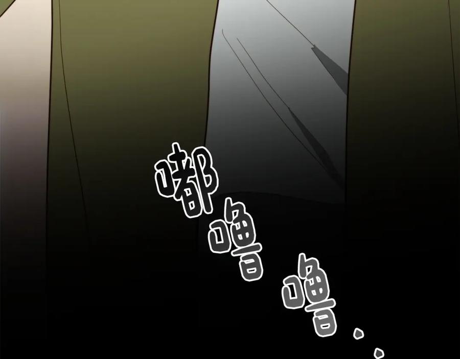 第239页