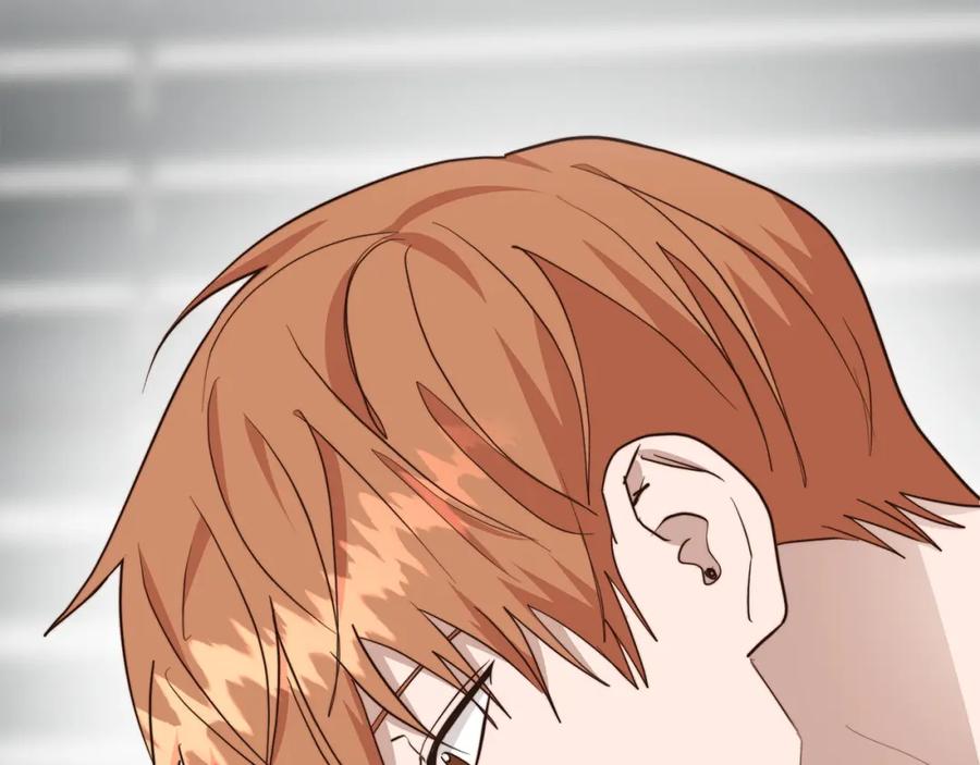 第231页