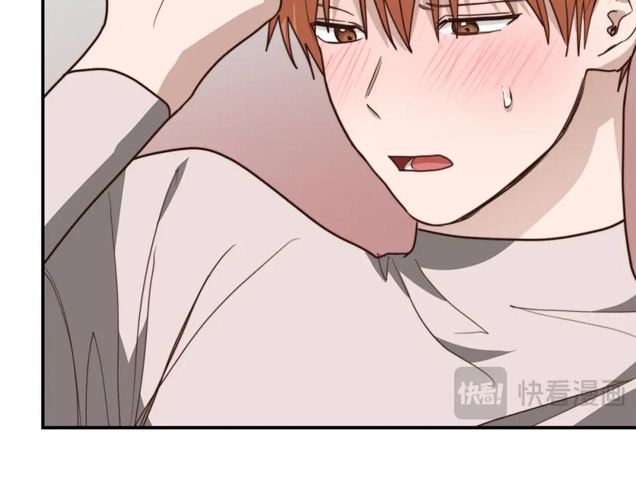 第238页