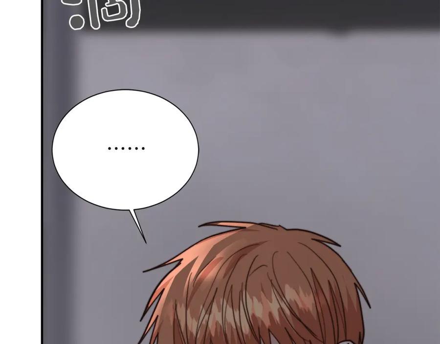 第223页