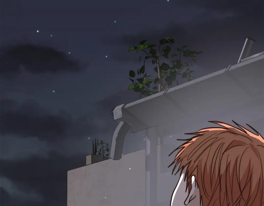 第232页