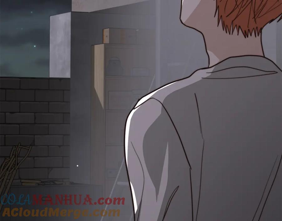 第233页