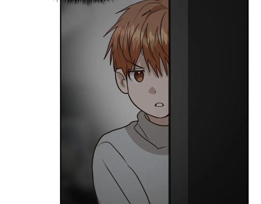 第224页