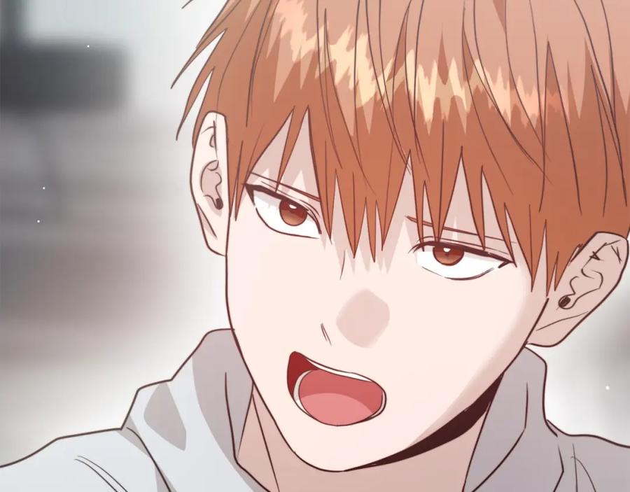 第282页