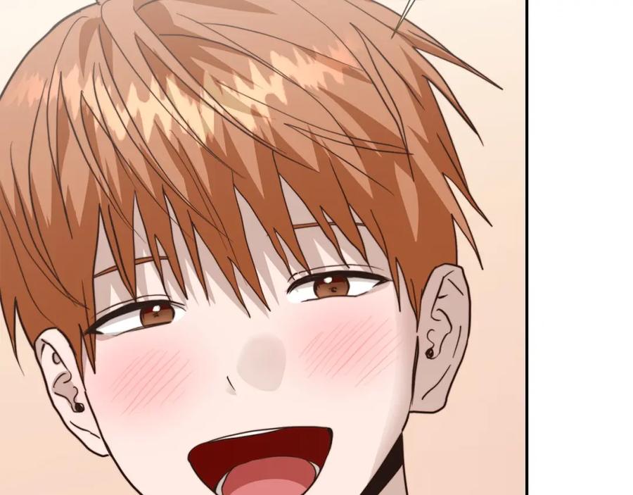 第223页