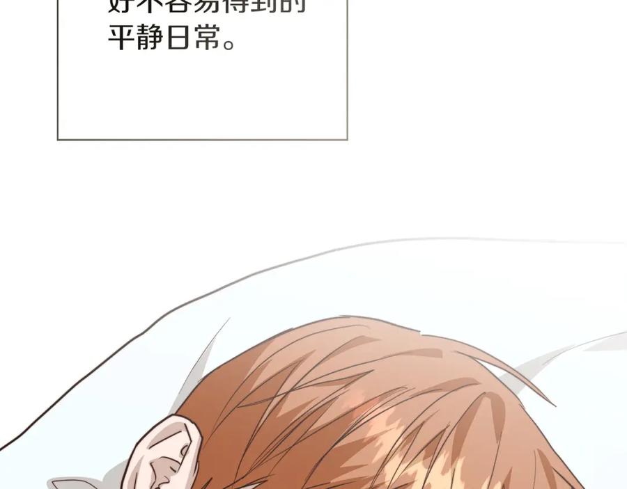 第240页