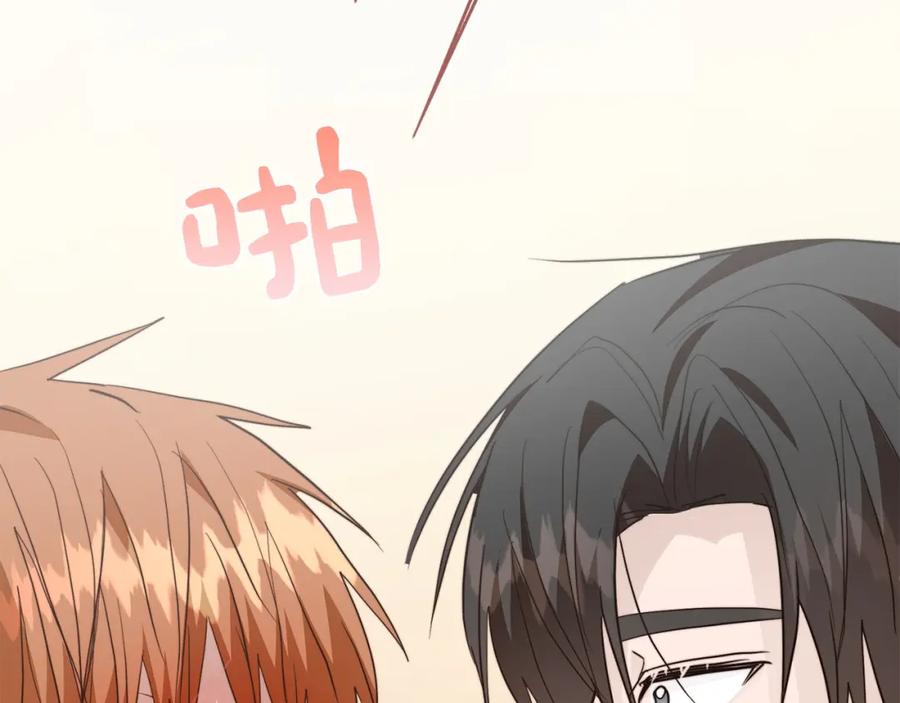 第236页