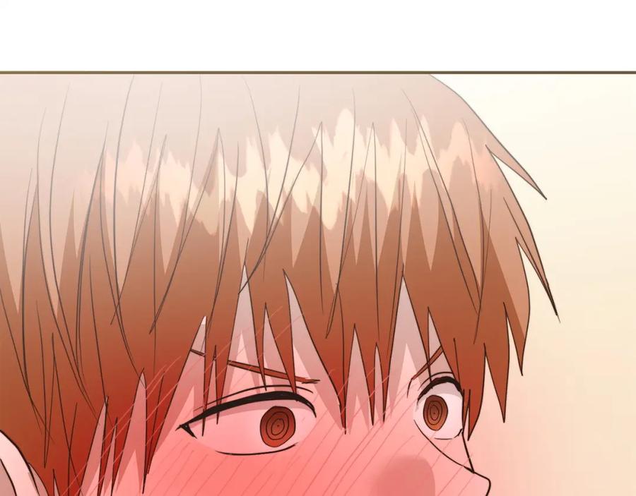 第242页