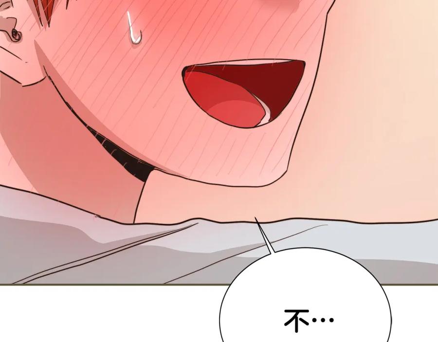 第243页