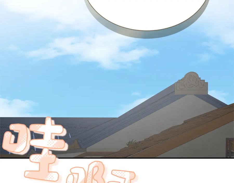 第231页