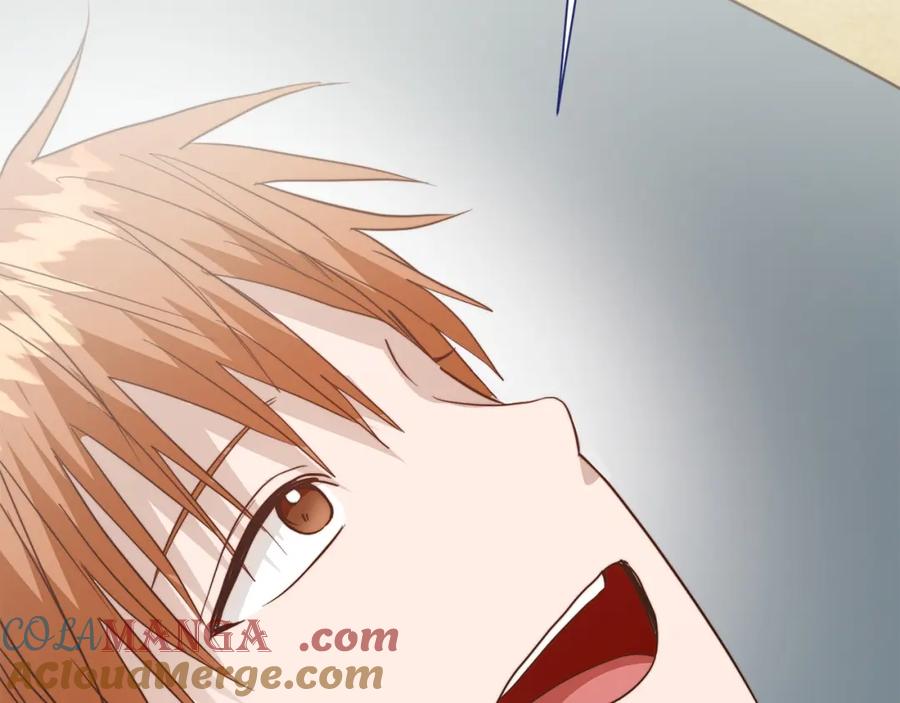 第213页